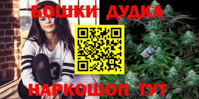 гидра Заводоуковск