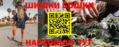 гидра Заводоуковск