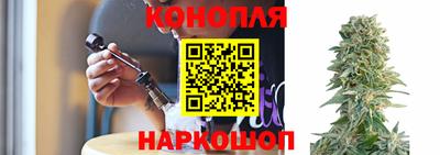 гидра Заводоуковск