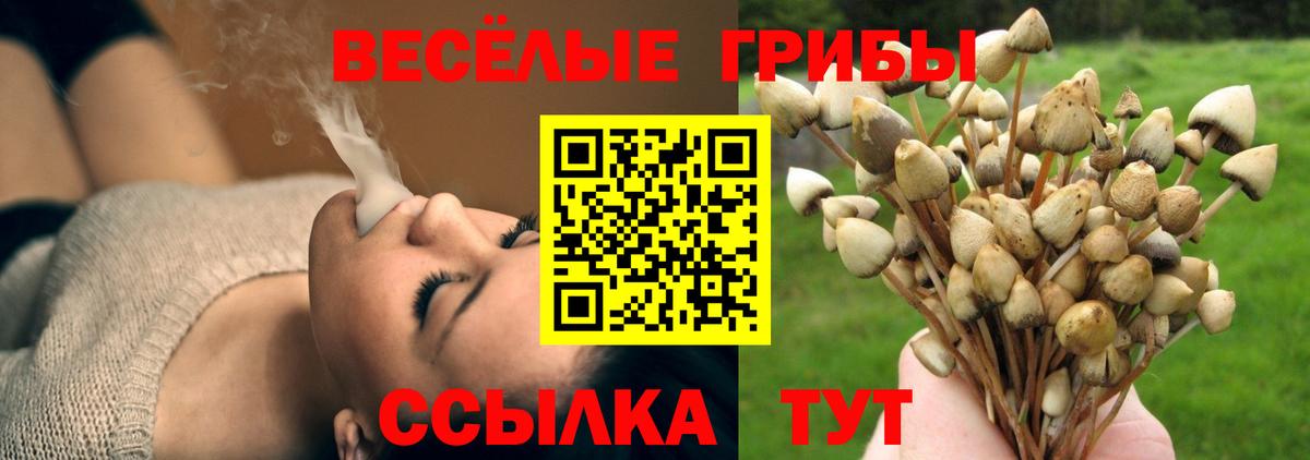 Псилоцибиновые грибы Magic Shrooms  Галлюциногенные грибы прущие грибы  Вход с VPN  Качканар 