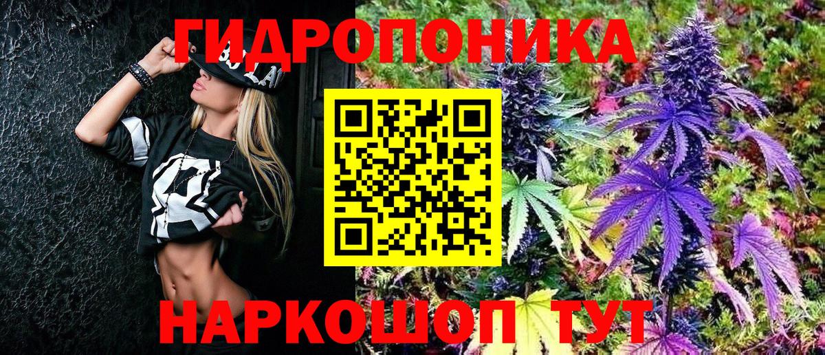 Конопля AK-47  Бошки марихуана OG Kush  Вход с VPN  Качканар 